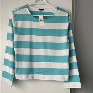 Ann Taylor Teal and White Striped Long Sleeve Tee
